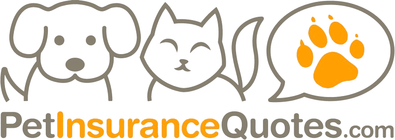 Pet Insurance Quotes